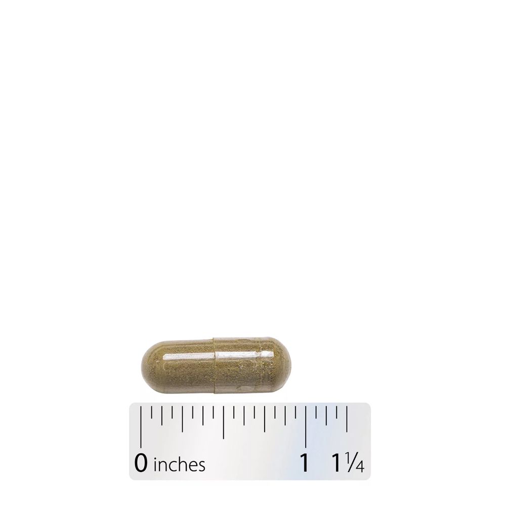 Neem Leaf 950 mg, Nature's Way Neem Leaf, 100 kapszula Neem Leaf 950 mg, Nature's Way Neem Leaf, 100 kapszula