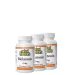 Melatonin 3 mg, Natural Factors Melatonin, 3x90 tabletta menta íz