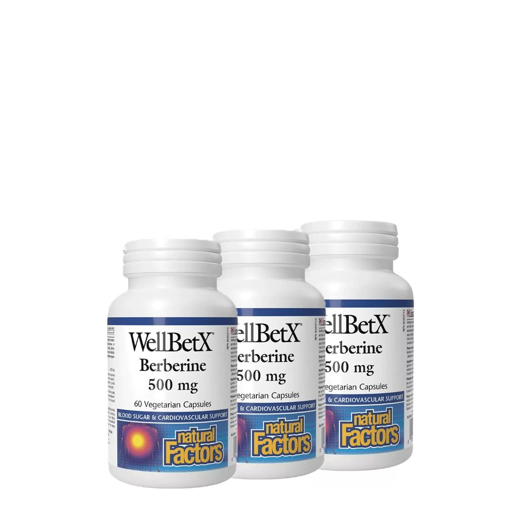 Berberin 500 mg, Natural Factors WellBetX Berberine, 3x60 kapszula Berberin 500 mg, Natural Factors WellBetX Berberine, 3x60 kapszula