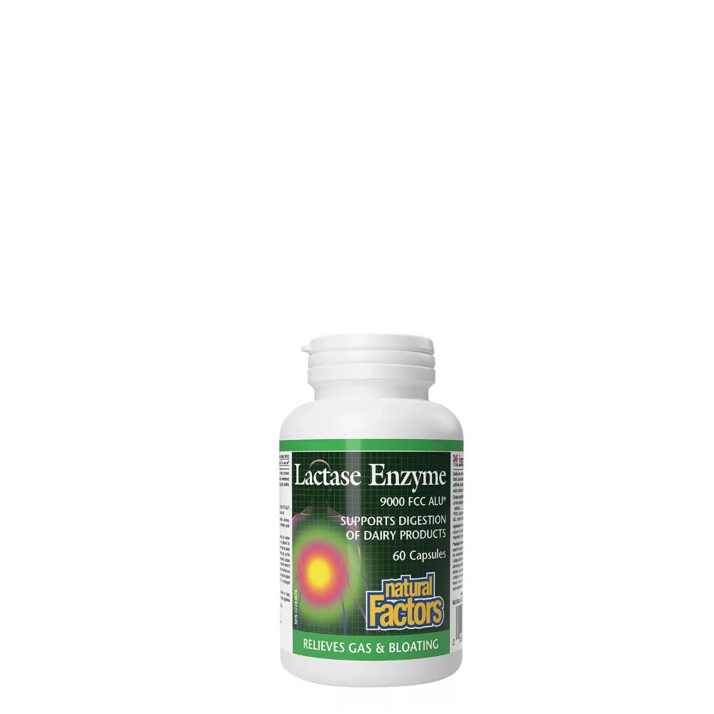 Laktáz Enzim, Natural Factors Lactase Enzyme, 60 kapszula Laktáz Enzim, Natural Factors Lactase Enzyme, 60 kapszula