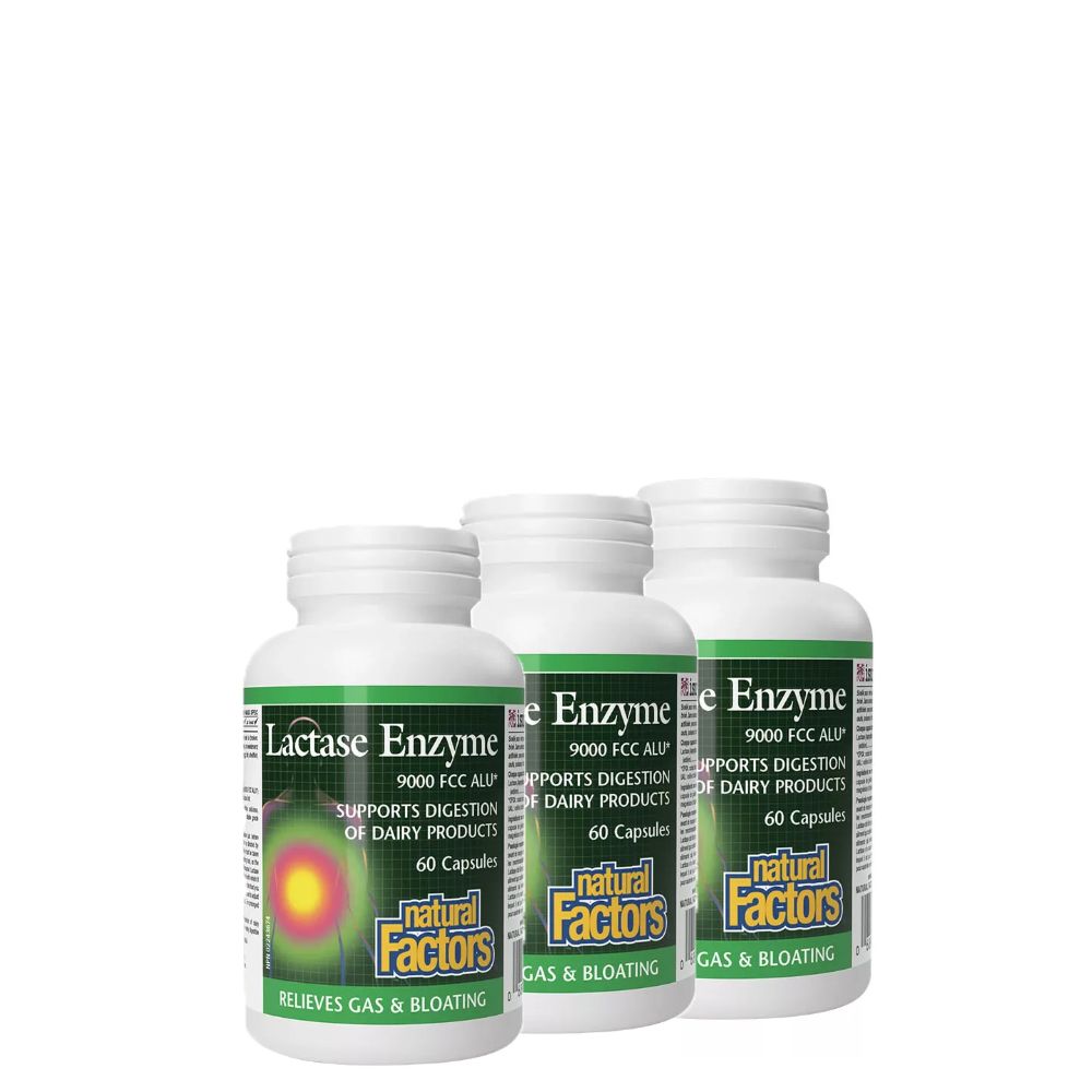 Laktáz Enzim, Natural Factors Lactase Enzyme, 3x60 kapszula Laktáz Enzim, Natural Factors Lactase Enzyme, 3x60 kapszula