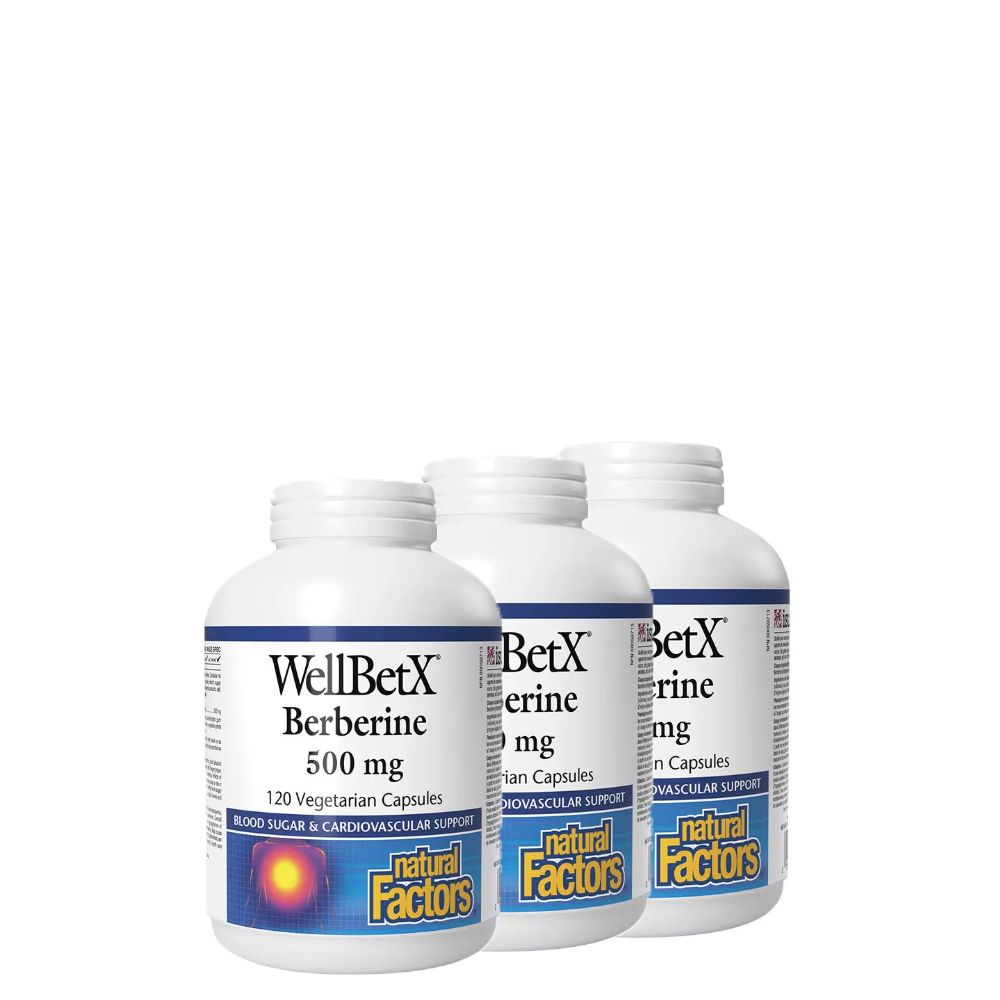 Berberin 500 mg, Natural Factors WellBetX Berberine, 3x120 kapszula Berberin 500 mg, Natural Factors WellBetX Berberine, 3x120 kapszula