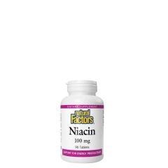 Niacin 100 mg, Natural Factors Niacin, 90 tabletta