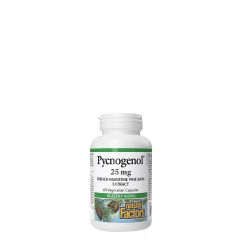 Piknogenor 25 mg Fenyőkéreg Kivonat, Natural Factors Pycnogenol Pine Bark Extract, 60 kapszula