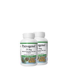 Piknogenor 25 mg Fenyőkéreg Kivonat, Natural Factors Pycnogenol Pine Bark Extract, 2x60 kapszula