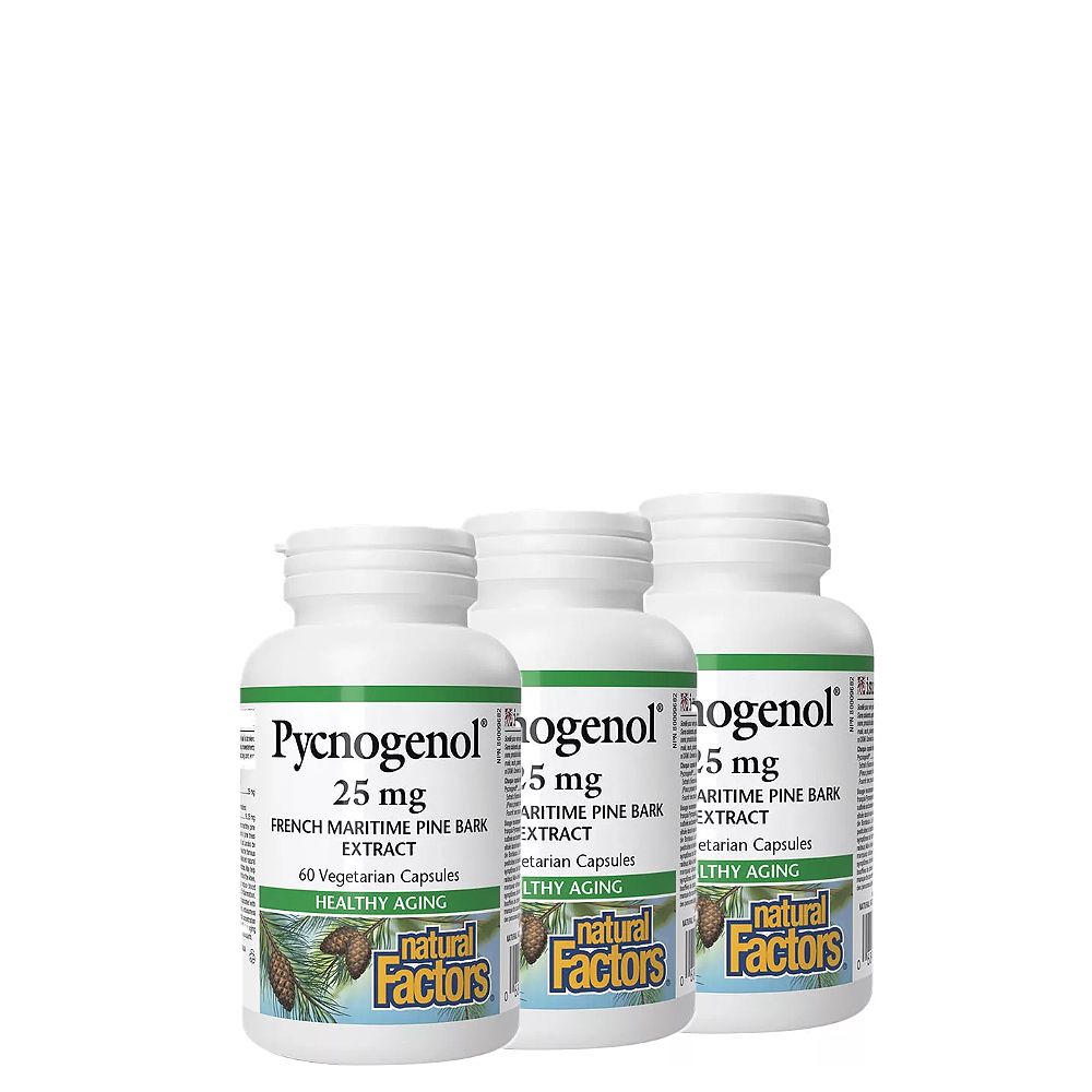 Piknogenor 25 mg Fenyőkéreg Kivonat, Natural Factors Pycnogenol Pine Bark Extract, 3x60 kapszula Piknogenor 25 mg Fenyőkéreg Kivonat, Natural Factors Pycnogenol Pine Bark Extract, 3x60 kapszula