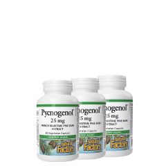Piknogenor 25 mg Fenyőkéreg Kivonat, Natural Factors Pycnogenol Pine Bark Extract, 3x60 kapszula