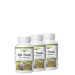 Máriatövis Kivonat 250 mg, Natural Factors Milk Thistle + Silymarin 150 mg, 3x90 kapszula