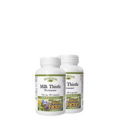 Máriatövis Kivonat 150 mg, Natural Factors Milk Thistle Phytosome, 2x90 kapszula