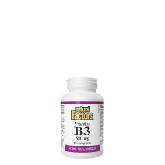 B3 Vitamin 500 mg, Natural Factors Niacin, 90 kapszula