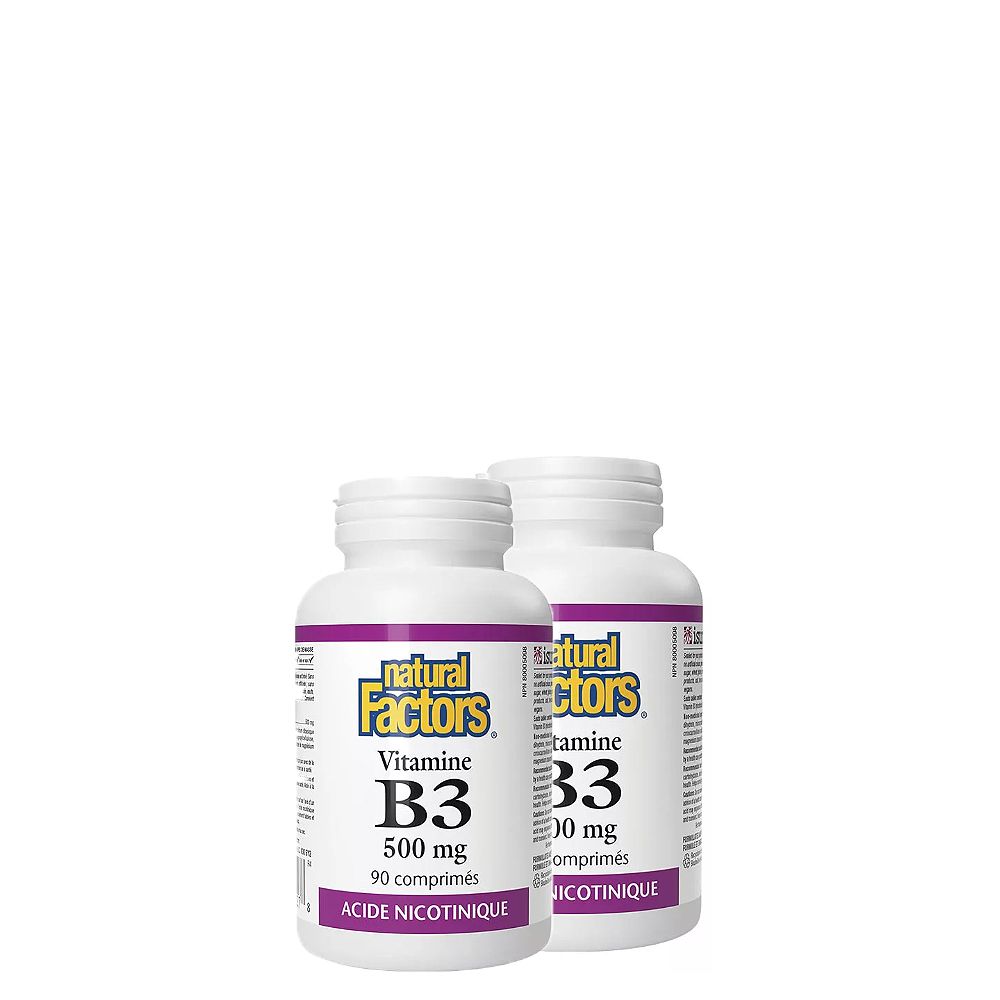 B3 Vitamin 500 mg, Natural Factors Niacin, 2x90 kapszula B3 Vitamin 500 mg, Natural Factors Niacin, 2x90 kapszula