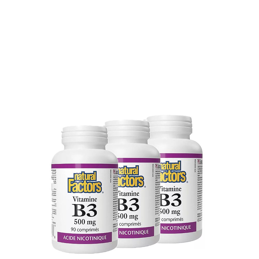 B3 Vitamin 500 mg, Natural Factors Niacin, 3x90 kapszula B3 Vitamin 500 mg, Natural Factors Niacin, 3x90 kapszula