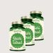 Reishi gyógygomba kivonat, GreenFood Reishi Extract, 3 x 90 kapszula
