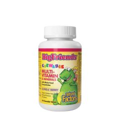 Rágó multivitamin és ásványi anyagok, Natural Factors Chewable Multivitamin & Minerals with Whole Food Concentrates, 60 rágótabletta, dzsungel bogyós gyümölcs íz