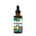 Kasvirág kivonat, Nature's Answer Echinacea Extract, 60 ml