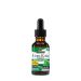 Gázlófű kivonat, Nature's Answer Gotu Kola Extract, 30 ml