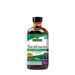 Fekete bodza kivonat, Nature's Answer Sambucus Original, 240 ml