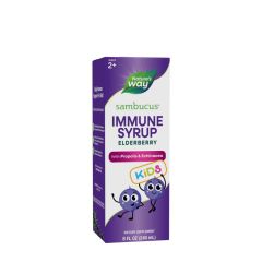 Fekete bodza szirup gyerekeknek, Nature's Way Sambucus Immune Syrup for Kids, 240 ml, fekete bodza íz