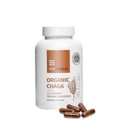 Bio chaga gomba, USA medical Organic Chaga, 60 kapszula