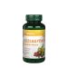 Rózsagyökér 1000 mg, Vitaking Rhodiola Rosea 1000 mg, 60 kapszula